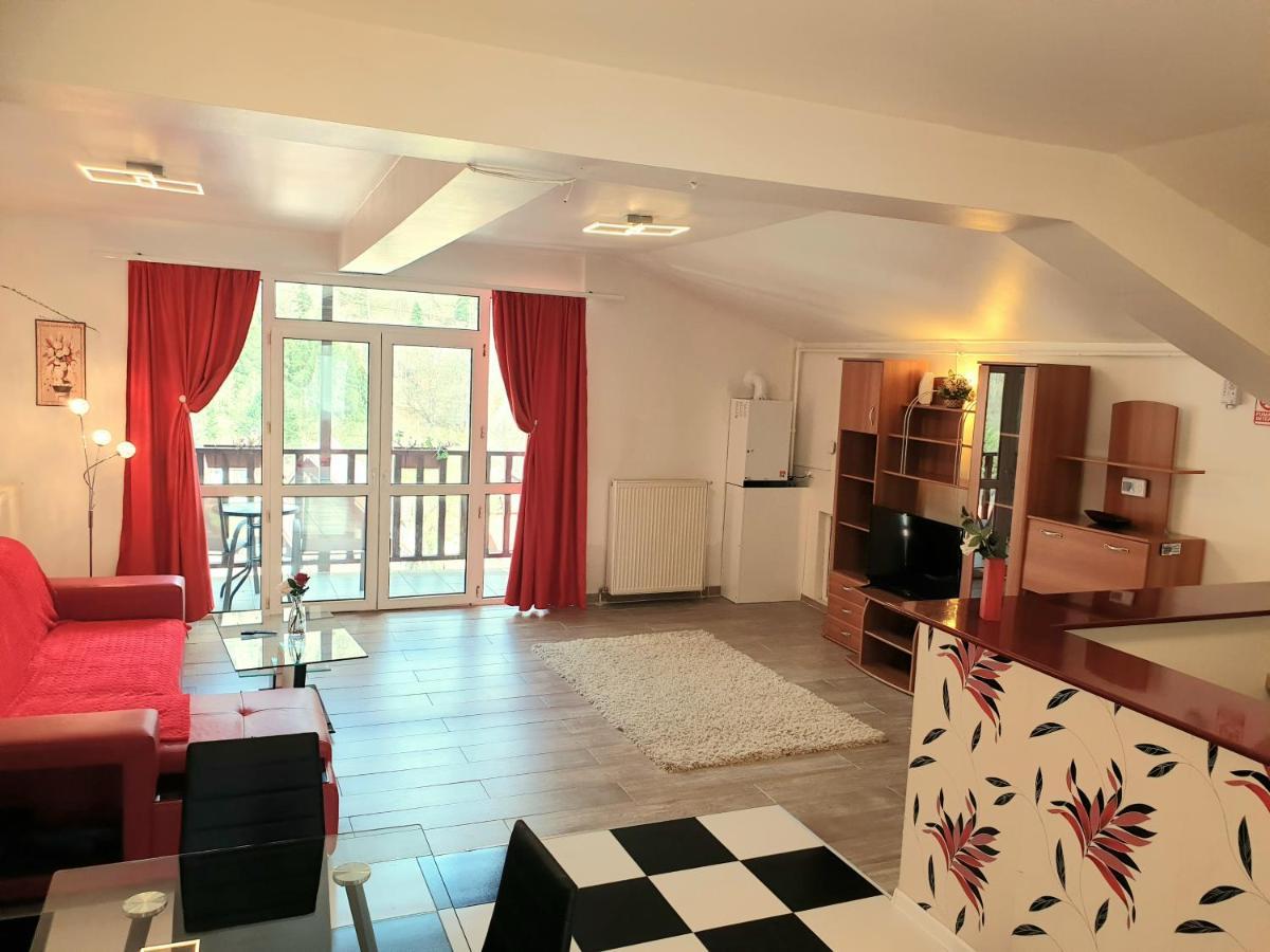 Sinaia Alex Apartments מראה חיצוני תמונה