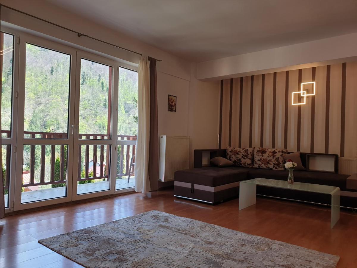 Sinaia Alex Apartments מראה חיצוני תמונה